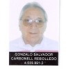 GONZALO  CARBONELL REBOLLEDO