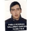 PABLO RODRIGO  GALLARDO GARCES