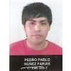 PEDRO PABLO NUEZ FARIAS